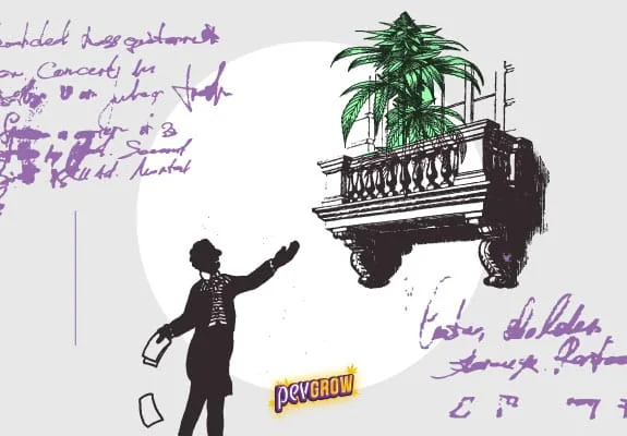 Ilustración de una figura con el brazo alzado hacia una planta de cannabis en un balcón, rodeada de escritura morada. Ilustración de una figura con el brazo alzado hacia una planta de cannabis en un balcón, rodeada de escritura morada.