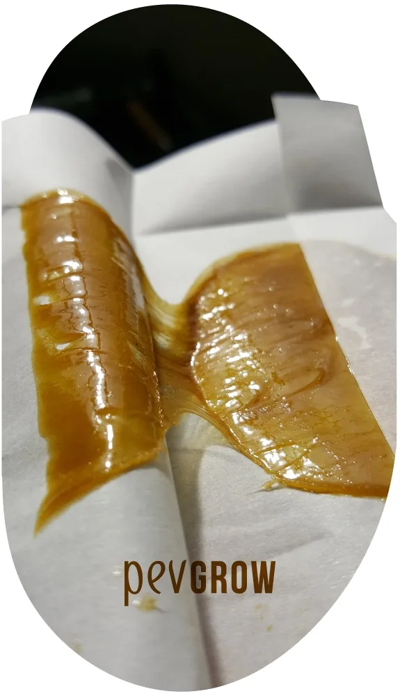 Dos láminas de rosin de tono ámbar, brillantes y unidas por finos hilos, sobre papel plegado con el logotipo Pevgrow en la parte inferior. Dos láminas de rosin de tono ámbar, brillantes y unidas por finos hilos, sobre papel plegado con el logotipo Pevgrow en la parte inferior.