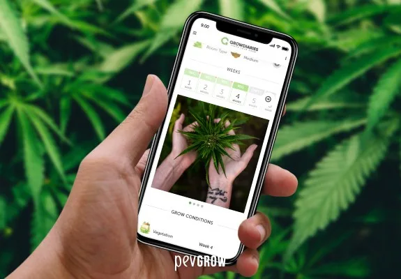 Una mano sostiene un móvil con un seguimiento de cultivo en GrowDiaries, con semanas y una foto de cannabis, ante un fondo de hojas.