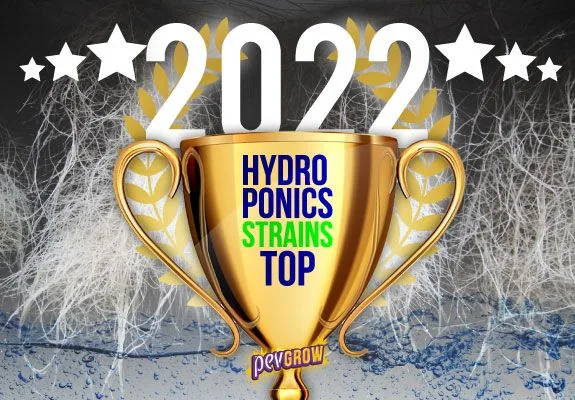 Copa dorada con el texto «Hydro Ponics Strains Top», el año 2022 y estrellas blancas, sobre un fondo de raíces y agua. Copa dorada con el texto «Hydro Ponics Strains Top», el año 2022 y estrellas blancas, sobre un fondo de raíces y agua.
