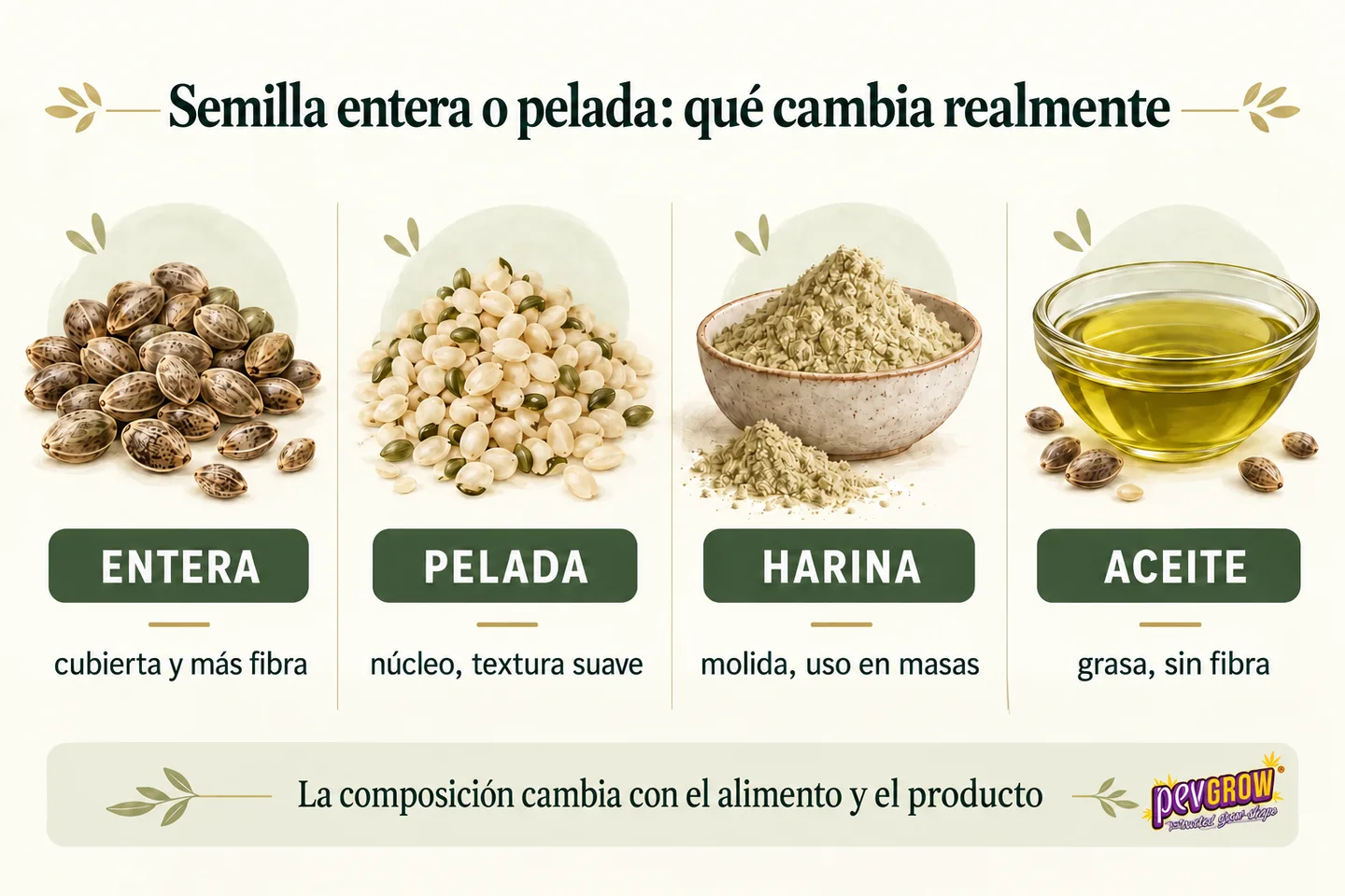 Infografía que compara semillas de cáñamo enteras y peladas, harina y aceite, con notas sobre su textura, fibra y usos.