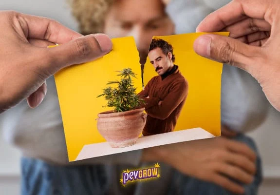 Dos manos rasgan una fotografía de un hombre junto a una planta de cannabis en maceta; detrás aparece una persona desenfocada. Dos manos rasgan una fotografía de un hombre junto a una planta de cannabis en maceta; detrás aparece una persona desenfocada.