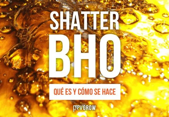Portada con el texto «SHATTER BHO» y «QUÉ ES Y CÓMO SE HACE» sobre un fondo ámbar brillante con burbujas. Portada con el texto «SHATTER BHO» y «QUÉ ES Y CÓMO SE HACE» sobre un fondo ámbar brillante con burbujas.