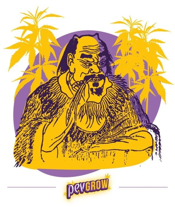 Ilustración en amarillo y morado de un hombre barbado con una hoja junto a la boca, rodeado de plantas de cannabis. Ilustración en amarillo y morado de un hombre barbado con una hoja junto a la boca, rodeado de plantas de cannabis.