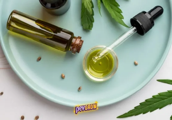 Frasco inclinado, recipiente con líquido verde y cuentagotas sobre un plato verde claro, rodeados de semillas y hojas dentadas.