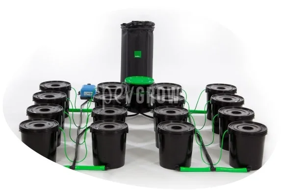 Sistema de cultivo con varios cubos negros con tapa, conectados mediante tubos verdes, un depósito alto al fondo y un dispositivo azul. Sistema de cultivo con varios cubos negros con tapa, conectados mediante tubos verdes, un depósito alto al fondo y un dispositivo azul.