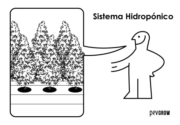 Dibujo de tres plantas en un recipiente de cultivo, junto a un personaje que las señala y el texto «Sistema Hidropónico».
