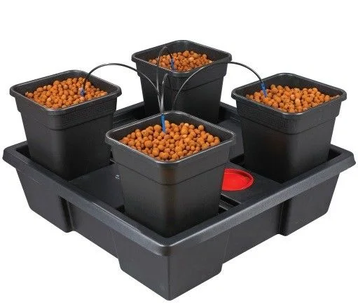 Sistema de cultivo con cuatro macetas negras llenas de arlita, tubos de riego y una base común con abertura roja. Sistema de cultivo con cuatro macetas negras llenas de arlita, tubos de riego y una base común con abertura roja.