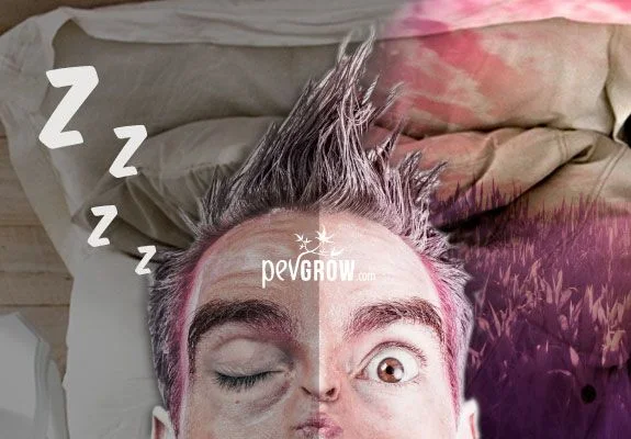 Montaje de un rostro sobre una almohada, con un ojo cerrado y otro abierto, pelo erizado y letras Z junto a la cabeza. Montaje de un rostro sobre una almohada, con un ojo cerrado y otro abierto, pelo erizado y letras Z junto a la cabeza.