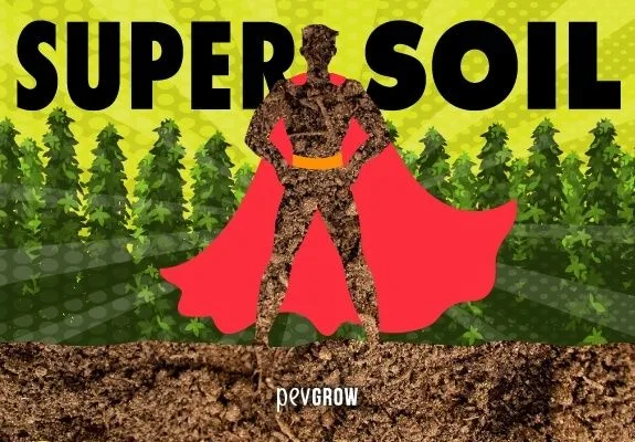 Ilustración con el texto «SUPER SOIL» y una figura de superhéroe con textura de tierra y capa roja ante hileras de plantas de cannabis. Ilustración con el texto «SUPER SOIL» y una figura de superhéroe con textura de tierra y capa roja ante hileras de plantas de cannabis.