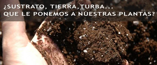 Primer plano de una mano con sustrato oscuro y partículas blancas, bajo el texto «¿Sustrato, tierra, turba… qué le ponemos a nuestras plantas?».