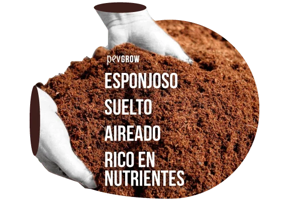 Manos con guantes blancos sostienen sustrato marrón fibroso junto a las palabras «Esponjoso, suelto, aireado, rico en nutrientes». Manos con guantes blancos sostienen sustrato marrón fibroso junto a las palabras «Esponjoso, suelto, aireado, rico en nutrientes».