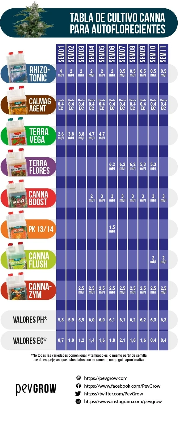 Tabla CANNA para autoflorecientes con once semanas, filas de fertilizantes y aditivos, dosis y valores de pH y EC sobre una cuadrícula azul. Tabla CANNA para autoflorecientes con once semanas, filas de fertilizantes y aditivos, dosis y valores de pH y EC sobre una cuadrícula azul.