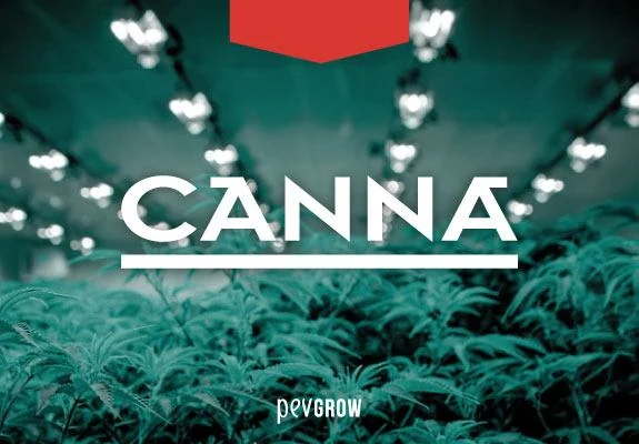 Logotipo blanco de CANNA sobre un cultivo interior de cannabis con filas de luces en el techo y un tono verde azulado. Logotipo blanco de CANNA sobre un cultivo interior de cannabis con filas de luces en el techo y un tono verde azulado.