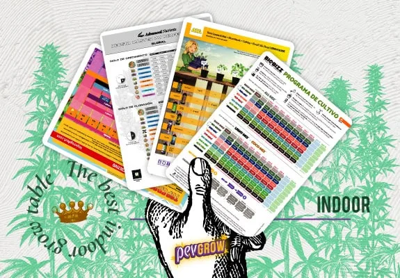 Montaje de tablas de fertilización con casillas de colores, sostenidas por una mano ilustrada sobre un fondo de plantas de cannabis. Montaje de tablas de fertilización con casillas de colores, sostenidas por una mano ilustrada sobre un fondo de plantas de cannabis.