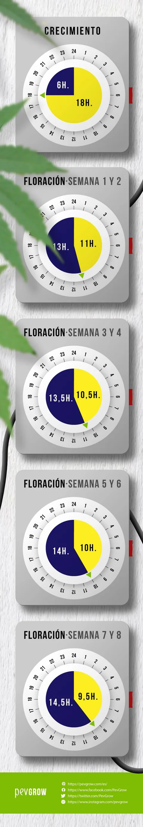 Infografía vertical con cinco temporizadores que muestran las horas de luz y oscuridad en crecimiento y distintas semanas de floración.
