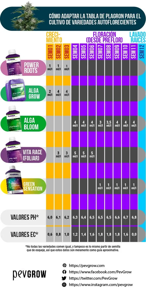 Tabla Plagron adaptada a autoflorecientes con doce semanas, fases de crecimiento, floración y lavado de raíces, dosis, pH y EC.