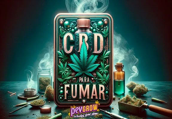 Ilustración con el texto «CBD para fumar», hojas de cannabis, cogollos, un tarro y un frasco entre volutas de humo. Ilustración con el texto «CBD para fumar», hojas de cannabis, cogollos, un tarro y un frasco entre volutas de humo.