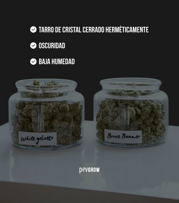 Dos tarros con cogollos, etiquetados White gelato y Bruce Banner, bajo indicaciones de cierre hermético, oscuridad y baja humedad. Dos tarros con cogollos, etiquetados White gelato y Bruce Banner, bajo indicaciones de cierre hermético, oscuridad y baja humedad.