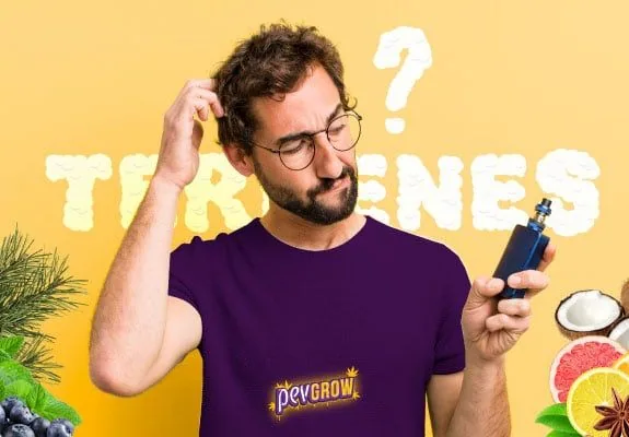 Hombre con gafas que se rasca la cabeza mientras mira un vaporizador azul, ante un fondo amarillo con el texto TERPENES. Hombre con gafas que se rasca la cabeza mientras mira un vaporizador azul, ante un fondo amarillo con el texto TERPENES.