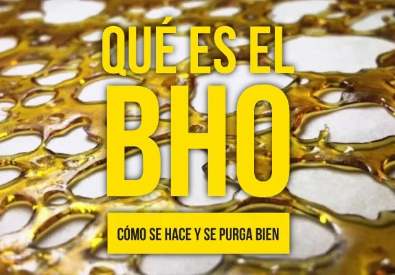 Texto amarillo «Qué es el BHO» y «Cómo se hace y se purga bien» sobre una textura de color ámbar con numerosos huecos. Texto amarillo «Qué es el BHO» y «Cómo se hace y se purga bien» sobre una textura de color ámbar con numerosos huecos.