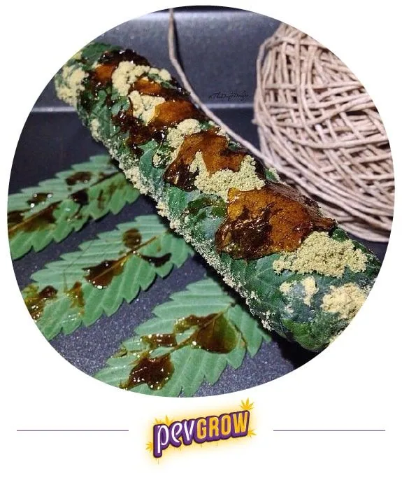 Thai Stick en diagonal, envuelto en hojas verdes con polvo claro y gotas de sustancia ámbar, junto a hojas y un ovillo de cuerda. Thai Stick en diagonal, envuelto en hojas verdes con polvo claro y gotas de sustancia ámbar, junto a hojas y un ovillo de cuerda.