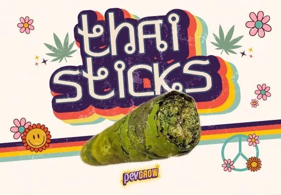 Thai Stick con envoltura verde sobre un diseño retro con el texto «thai sticks», franjas multicolor, flores y un símbolo de paz. Thai Stick con envoltura verde sobre un diseño retro con el texto «thai sticks», franjas multicolor, flores y un símbolo de paz.