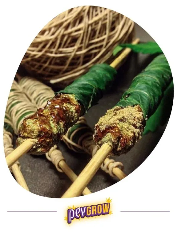 Dos Thai Sticks envueltos en hojas verdes, con extremos recubiertos de polvo claro y sustancia ámbar, atravesados por palos de madera. Dos Thai Sticks envueltos en hojas verdes, con extremos recubiertos de polvo claro y sustancia ámbar, atravesados por palos de madera.