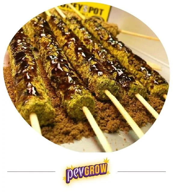Varios Thai Sticks alineados sobre polvo marrón, con cobertura granulada verdosa, franjas oscuras brillantes y palos que sobresalen. Varios Thai Sticks alineados sobre polvo marrón, con cobertura granulada verdosa, franjas oscuras brillantes y palos que sobresalen.