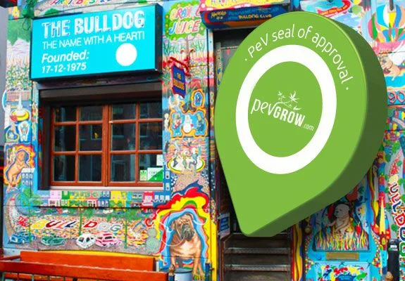 Fachada multicolor de The Bulldog con banco naranja, ventana y entrada parcialmente tapada por un marcador verde de Pevgrow. Fachada multicolor de The Bulldog con banco naranja, ventana y entrada parcialmente tapada por un marcador verde de Pevgrow.