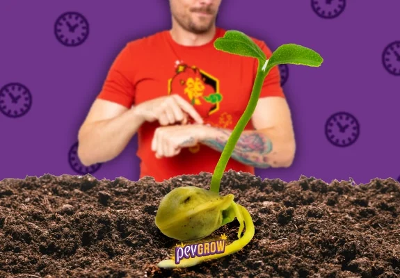 Montaje de una semilla germinada sobre tierra y un hombre señalándose la muñeca, con relojes sobre fondo morado.