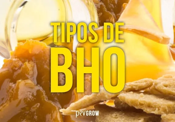 Texto «TIPOS DE BHO» en letras amarillas sobre un primer plano de extractos de tonos dorados y ámbar con distintas texturas.
