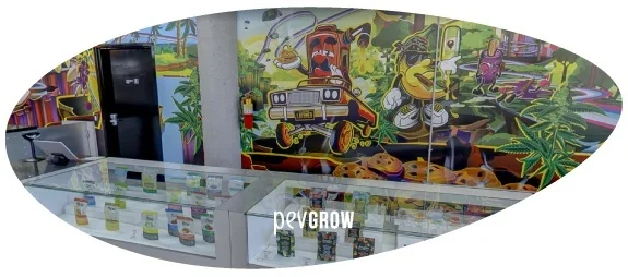 Interior de una tienda con vitrinas de cristal, pequeños envases y un mural colorido con personajes, un coche y hojas de cannabis. Interior de una tienda con vitrinas de cristal, pequeños envases y un mural colorido con personajes, un coche y hojas de cannabis.