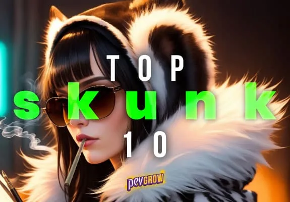 Ilustración de una mujer con gafas de sol, capucha de pelo y un cigarrillo entre los labios, con el texto «Top Skunk 10».