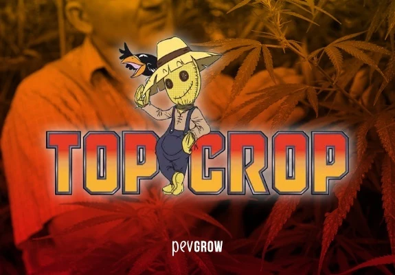 Logotipo de Top Crop con su espantapájaros sobre un fondo anaranjado con una persona y hojas de cannabis; texto Pevgrow al pie.