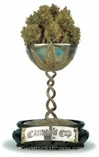 Trofeo con copa llena de cogollos, pie en espiral y base con una placa que dice «Cannabis Cup», sobre fondo blanco. Trofeo con copa llena de cogollos, pie en espiral y base con una placa que dice «Cannabis Cup», sobre fondo blanco.