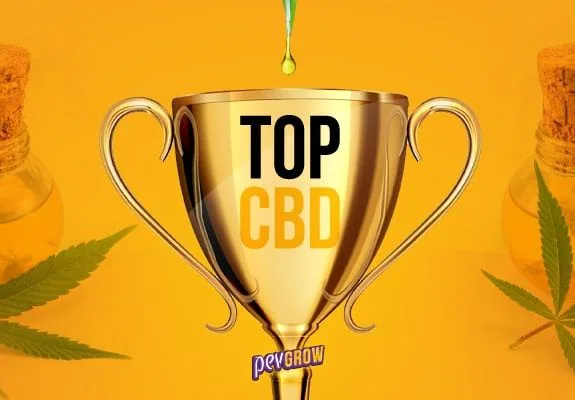 Trofeo dorado con el texto «TOP CBD», una gota suspendida encima y hojas de cannabis a los lados sobre fondo naranja. Trofeo dorado con el texto «TOP CBD», una gota suspendida encima y hojas de cannabis a los lados sobre fondo naranja.