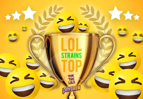 Copa dorada con el texto «LOL STRAINS TOP», rodeada de caras amarillas riendo, estrellas y ramas de laurel sobre fondo amarillo. Copa dorada con el texto «LOL STRAINS TOP», rodeada de caras amarillas riendo, estrellas y ramas de laurel sobre fondo amarillo.