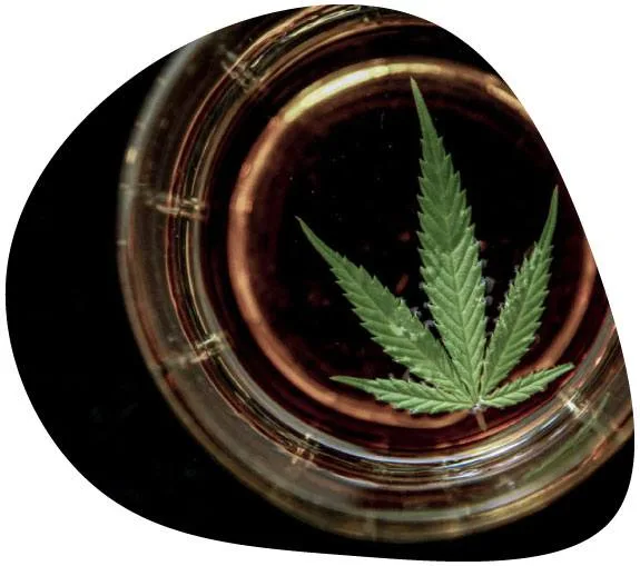 Vista cenital de un vaso con líquido oscuro y una hoja verde de cannabis sobre la abertura, con recorte redondeado sobre blanco.