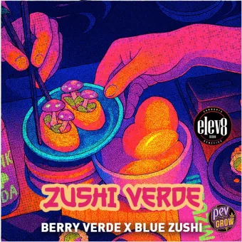 Ilustración de la ficha de Zushi Verde: manos con palillos sobre un cuenco de sushi de colores neón y el texto Berry Verde x Blue Zushi