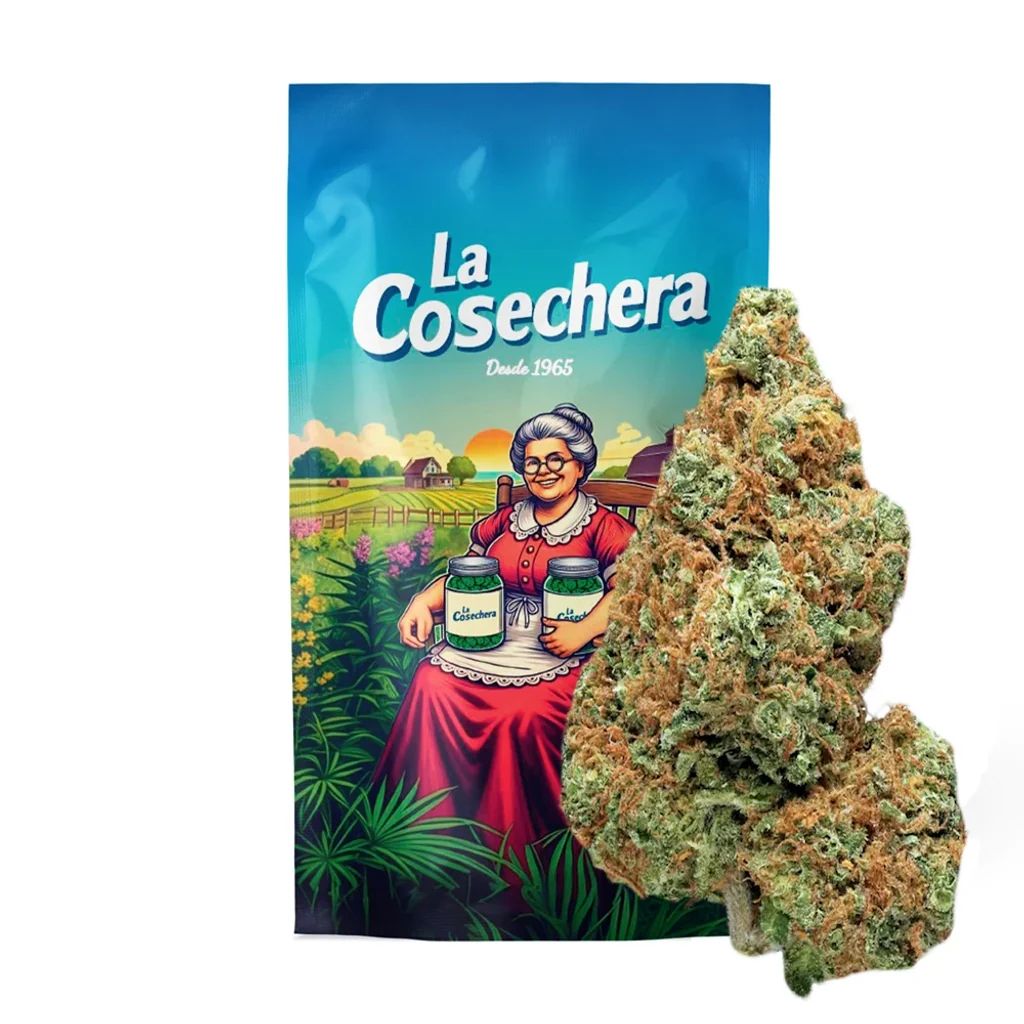 Flor de cáñamo White Widow junto a una bolsa La Cosechera ilustrada con una mujer mayor en un paisaje de cultivo.