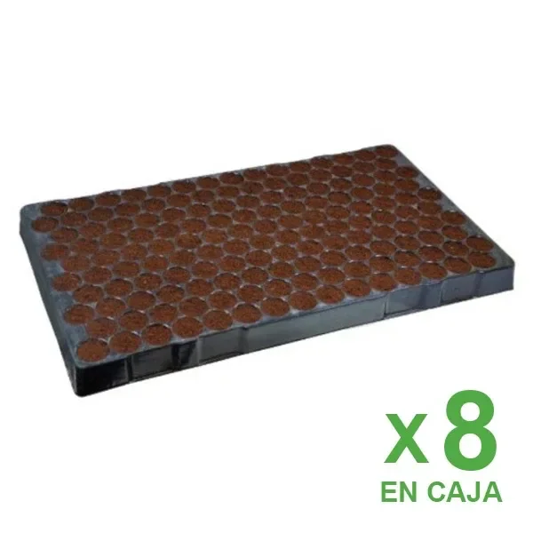 Bandeja rectangular negra con filas de alvéolos rellenos de sustrato marrón, vista en perspectiva y con el texto «x8 en caja».