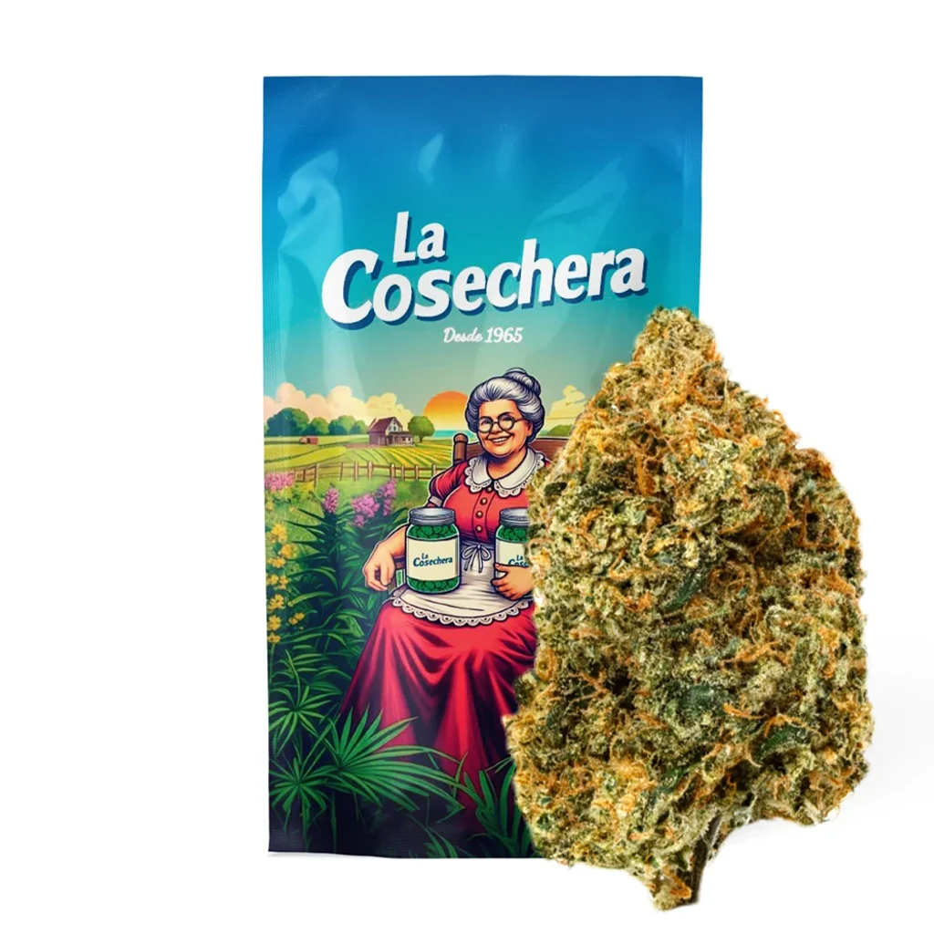 Cogollo de cáñamo Girl Scout Cookies delante de un envase La Cosechera con una mujer ilustrada, sobre fondo blanco.