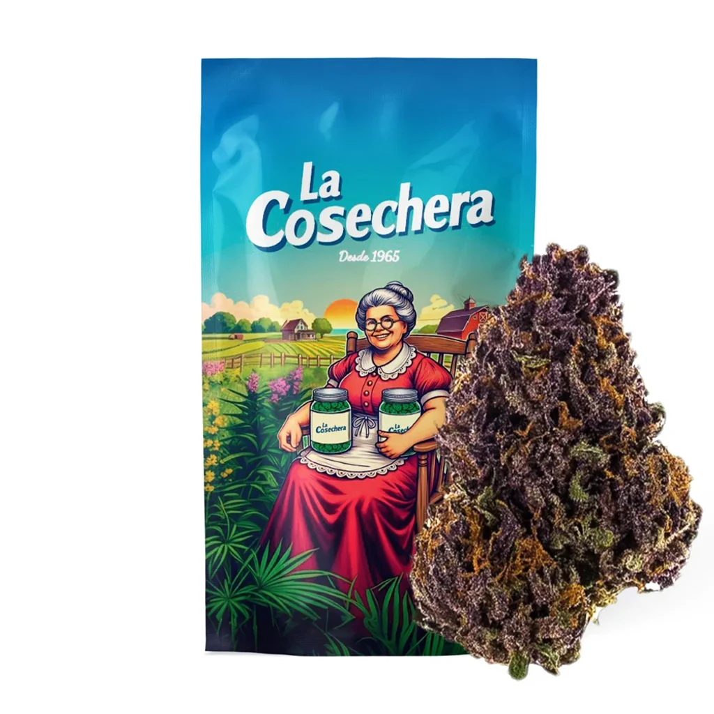 Flor Purple Haze de tonos morados junto a un envase La Cosechera ilustrado con una mujer sentada en un paisaje de cultivo.