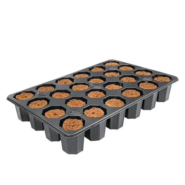 Bandeja negra Plugin Rootit vista en perspectiva, con filas de alvéolos que contienen tacos marrones con un orificio central.