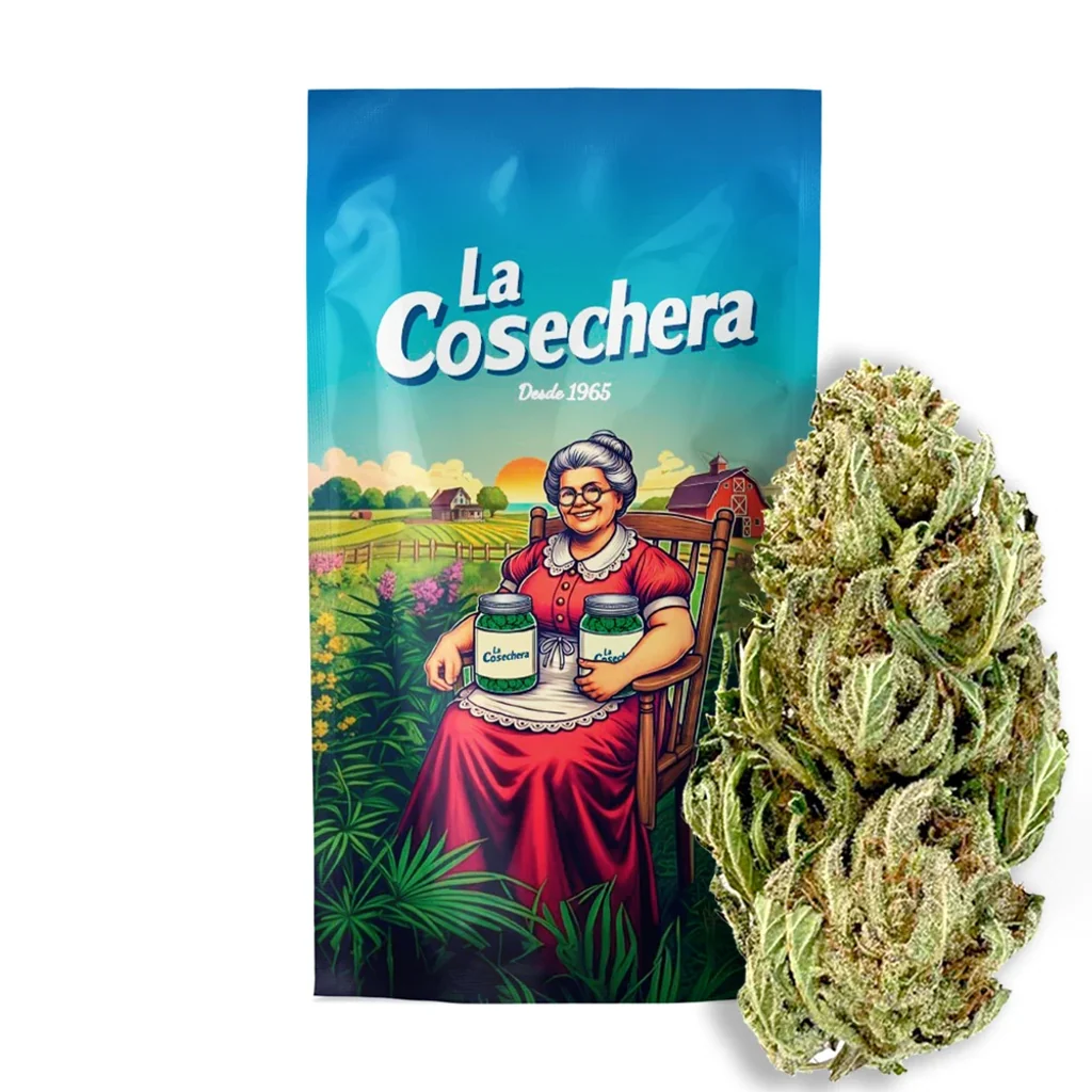 Bolsa La Cosechera ilustrada con una mujer sentada en un paisaje rural, junto a un cogollo verde alargado en primer plano.