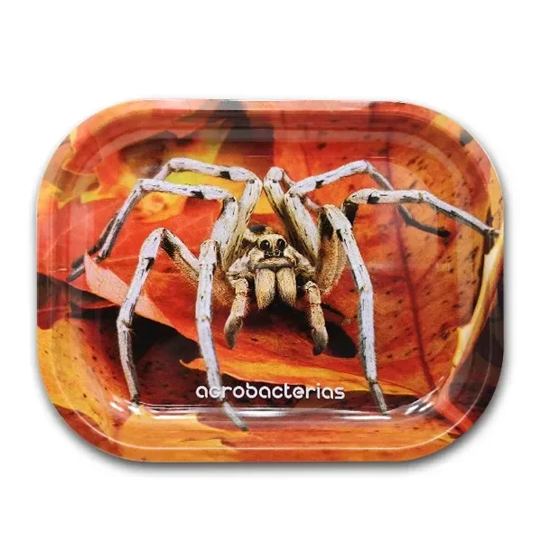 Bandeja rectangular de esquinas redondeadas con una gran araña sobre un fondo de hojas en tonos naranjas y rojos.