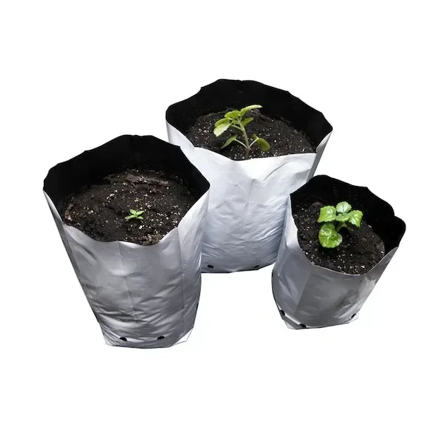 Bolsas de cultivo blancas con interior negro, llenas de sustrato y con pequeñas plantas, sobre fondo blanco.