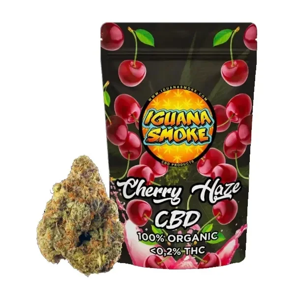 Flor de cáñamo junto a una bolsa Iguana Smoke Cherry Haze CBD negra, decorada con cerezas rojas.