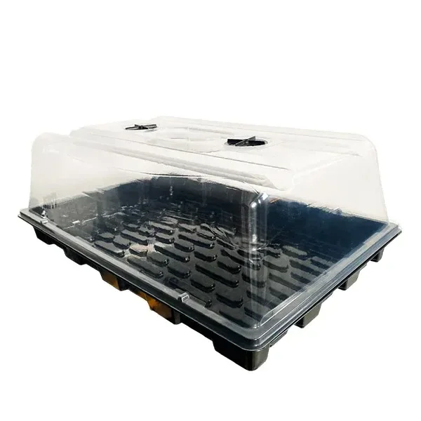 Propagador rectangular con bandeja negra de alveolos y cubierta transparente alta, con respiraderos negros en la parte superior.